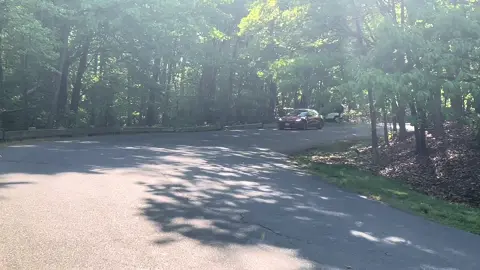 A little bts clip of Tesla driving by in a forest.