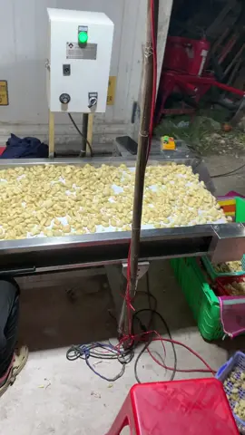 Quy trình làm tỏi lột #nongsan #hanhtoi🧄 #tphcm #xuhuong 
