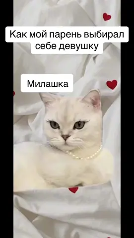 #рек#отношения 