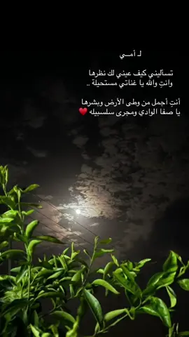 #CapCut #بندر_بن_عوير #جديد #explore #foryou #fypシ #fyp #viral #mother #امي #تصويري 