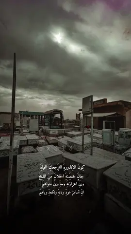 #CapCut هم فاقدين عزيز.💔#المهوال_عباس_الفريجي #كون_بذره_انت_وتخضر_منجديد #مقبرة_وادي_السلام_النجف  كون بذره انت وتخصر من جديد