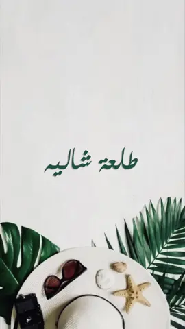 دام الاجواء زانت يبيلها طلعة شاليه 💁🏻‍♀️، طلب عميلتي الله يسعدها 🫶🏻#طلعة_شالية #طلعة_شاليه #وناسه #لمة_حبايب #جمعة_الاهل #شالية_تشاك #شاليه 