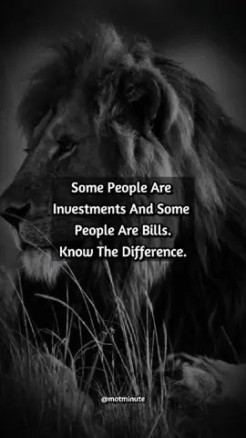 Motivational Inspiration. Motivational Quotes  #motivation #inspiration #quoteoftheday #motivationalvideo #inspirationalvideo #viral #quotes #quotesoftheday #inspirationalquotes #lifelessons #motivationalquotes #motivational #lifetips #mindset #advice #inspirational #foryoupage #fypシ #fyp