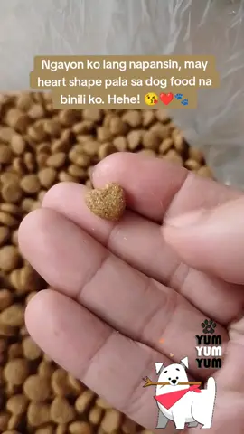 @ Yumyum Dog food, beke nemen. Hehehe! #fyp #foryou #dog #doglover #furbabies #furdad #dogloverforever #yumyumdogfood 
