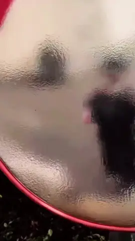 Lower chest #workoutchallenge #bodybuilder #foryoupage #workout #fypシ゚viral #fitnessmotivations #Fitness #tiktokviral 