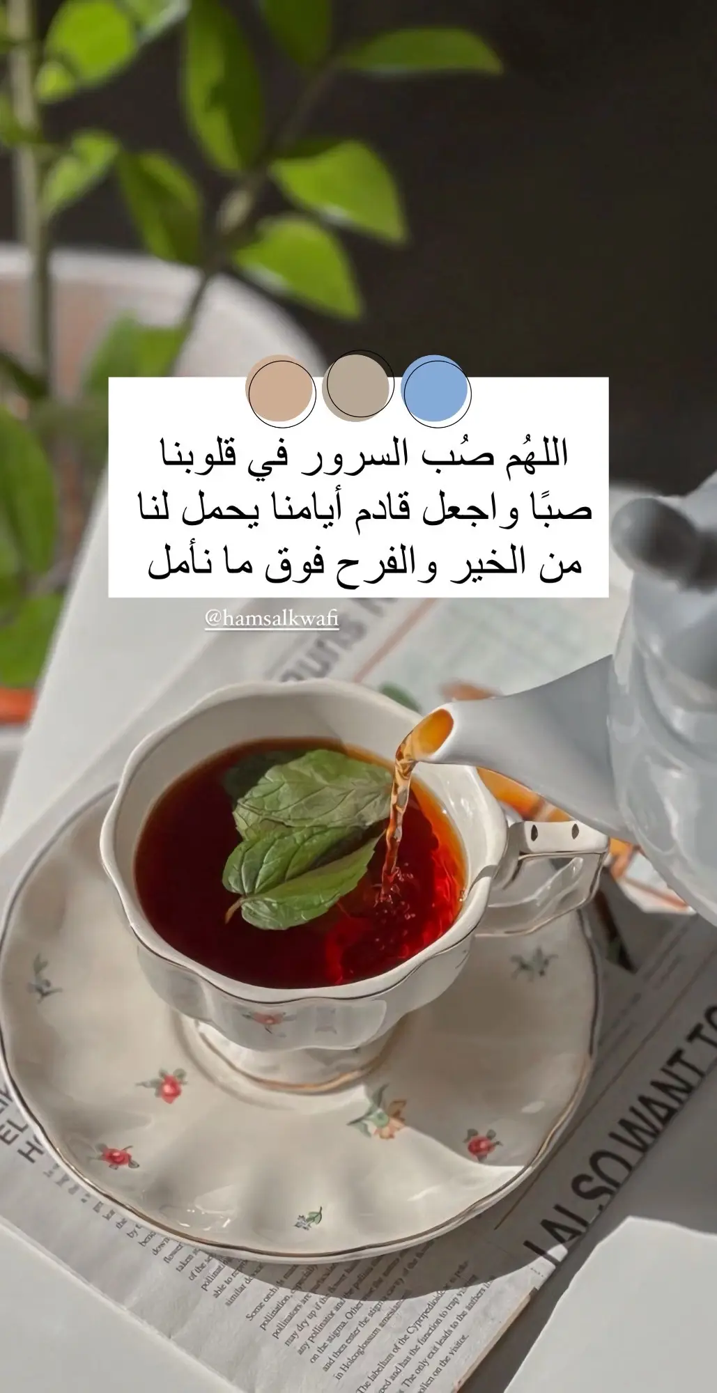 #الصباحات_الحلوه #اللهم_بك_أصبحنا #اكسبلور #سبحان_الله_وبحمده_سبحان_الله_العظيم #صباحيات #صباح_الخير 