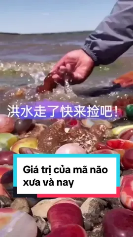 Trong 10 năm qua, cuối cùng thì mã não cũng được nhận ra giá trị #ngocminhanh #phithuy #dothach #camthach #manao
