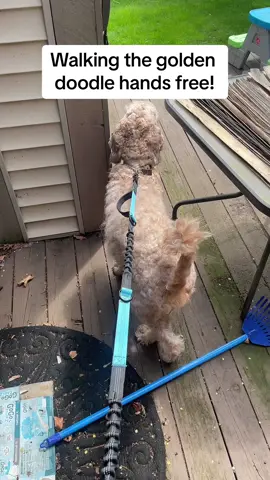 What type of leash do you use for your pets? #dogleash #dogleashreview #handsfreedogleash #bestdogleash #handsfreeleash #besthandsfreedogleash #paddedhandledogleash