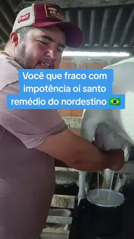 resenha de Nordestino  #ninhobarreiramatuto🇧🇷 #criadordeconteudo @Ninho Barreira matuto🇧🇷 
