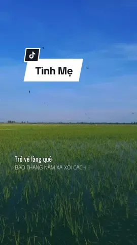 Trở về làng quê bao tháng năm xa xôi cách biệt..#tinhme #danca #lyric #radio #xh #nhactrutinh #nhachaymoingay #xuhuongtiktok #66đồngtháp #66đồngtháp 