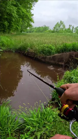 Fish Rescue #fishing #bassfishing #Outdoors #tightlines #fish #tiktok #fyp #viral #foryou 