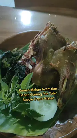 Rumah Makan Ayam dan Bebek Goreng Pak Tohir Besole Ceper Klaten #fyp #fypシ #fypシ゚viral #food #kuliner #solo 