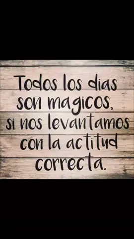 despertar es la magia🌞☕🍀 #buenosdiasmundo  #eresmagia  #vivealmaximo  #siemprepositiva #vida #conactitud  #positiva #hombre #mujeres  #motivat  #vivalavida  #sonrieysefeliz  #fypシ゚viral  #frases #parati 