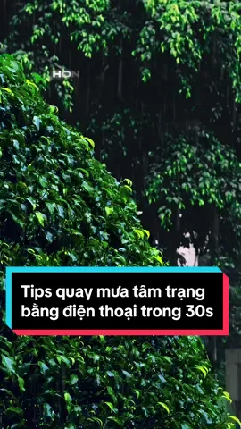 Kỹ thuật quay mưa chill tâm trạng bằng điện thoại nhanh chóng trong 30 giây #thoquaychup #mưa #muabuon #nhactamtrang #nhachaymoingay #andreerighthand #tips #tipquaychup #tipchupanh #hocquayvideo #shotoniphone #xuhuong #rainyday #LearnOnTikTok #hoccungtiktok #fyp 