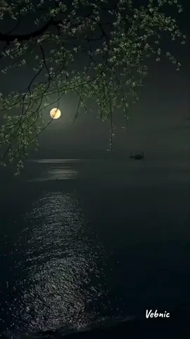 Good Night-I Started A Jok#beegees  #oldsongmemories #60s 