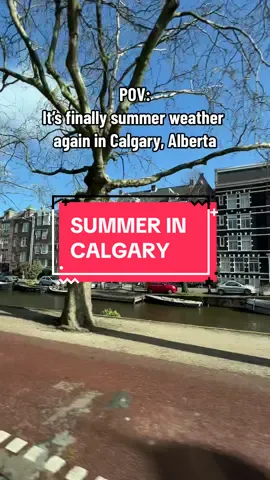Calgary looks so different in the summer months… #calgary #yyc #calgaryalberta #calgary_yyc #contentcreator #fypage 