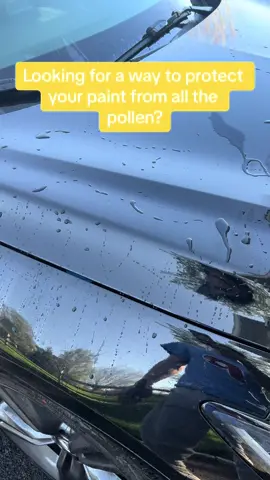 #foryou #carsoftiktok #carguy #detailer #detailing #shinearmor #ceramiccoating 