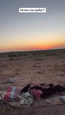 follow dhaha @S A A D I Q S H I I N E🩵🐎🤍 qof aad u xiisaty halkan ka wac#foryou #viraltiktokvideo #fypシ #foryoupage #viraltiktok #viral 