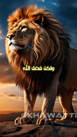 لو كانت الأرزاق بيد البشر لمات الناس جوعا وعطشا... #اقتباسات #أقوال #أقوال_وحكم #حالات_واتس #كلمات #عبارات_فخمه؟🖤☠️🥀⛓️  #للعقول_الراقية_فقط #خواطر_ملهمة #خواطر  #كلمات #اكسبلور #اكسبلورexplore #للعقول_الراقية_فقط🤚🏻💙 #عباراتكم #عبرات_من_القلب💔💔 #عبارات_حزينه💔 