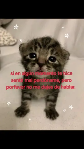 😔 #miau #parati #michi #gatito #ñam #soyese #rojo 🐈