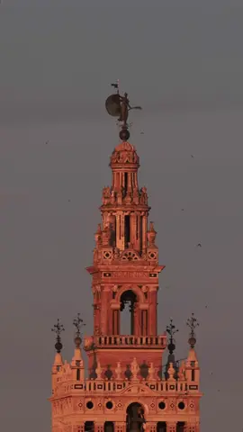 Sevilla es un suspiro. #Sevilla #Giralda #Atardecer 