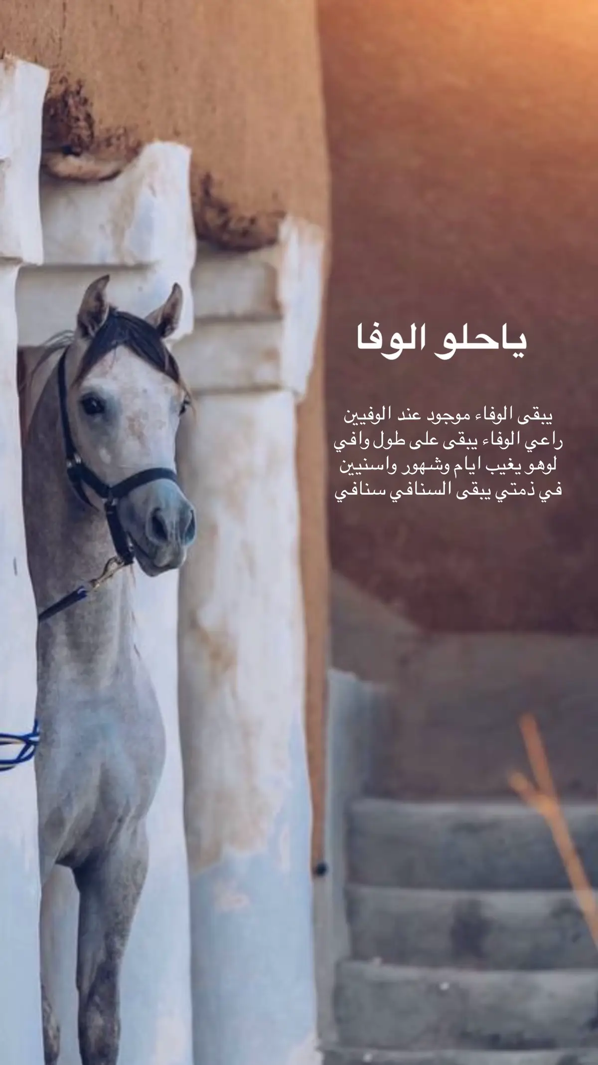 #اكسبلووووورررر #