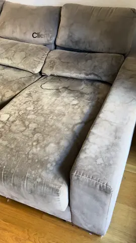 Servicio de limpieza a domicilio 💦 #limpiezadetapiceria #limpiezaprofunda #desinfeccion #eliminaciondemanchas #suciedadextrema #serviciodelimpieza #limpiezadesofasadomicilio #eliminaciondeolores #ordenylimpieza #sofa 