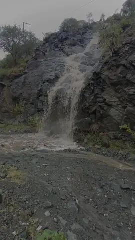 وعووووووووه اليله ❤️✌️🌹#يافع_الجنوب_العربي #معكم 