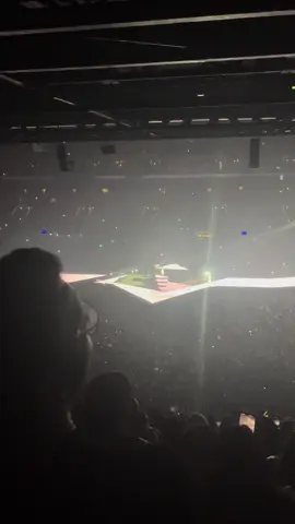 Jump scare of everyone thinking post malone came up out the ground #pariststheerastour #parisn1 #taylorswift #theerastour #thetorturedpoetsdepartment #swifties #theerastourtaylorswift 