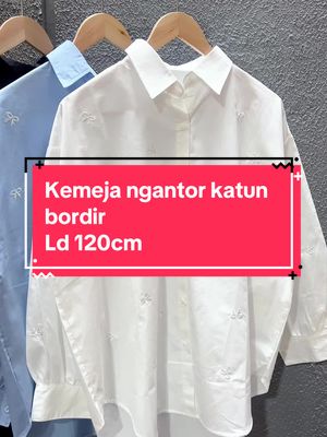 Kemeja ngantor katun full bordir ld 120cm motif terbaru nya 😍 #fyp #kemejabangkok #kemejawanita #kemejabangkokpremium #belilokal #kemeja #kemejaoversize #kemejabigsize #kemejakantor #kemejangantor #kemejastripe #kemejaputih #kemejabordir #kemejahitam 