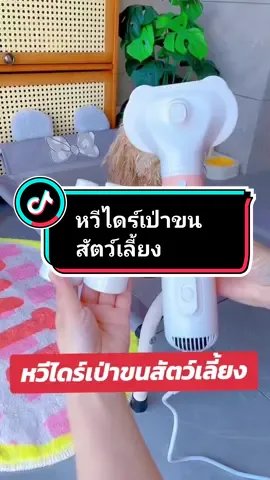 #สัตว์เลี้ยงน่ารัก #สัตว์เลี้ยงtiktok #หวีไดร์เป่าขนสัตว์ #ไดร์เป่าขนสัตว์เลี้ยง #ไดร์เป่าขนสุนัข @ศูนย์รวมสินค้าสัตว์เลี้ยง @ศูนย์รวมสินค้าสัตว์เลี้ยง @ศูนย์รวมสินค้าสัตว์เลี้ยง 