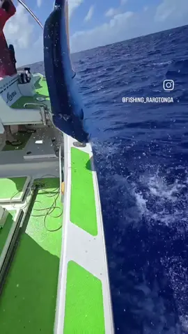 'Fish to live, live to fish' . . . . . . . . . . . . . . . . . . . . . . . . . . . . . . . . . . . . . . . . . . #mahimahi #dorado #fishing #instafishing   #instagood #Love #art #beautiful #nature #photography #reels #travel #Summer #instagram #ocean #dolphin #fypシ #fyp #happy #rarotonga #fish #hunting #hunt #tiktok 