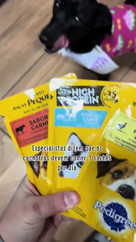 Suspeito um pouco dessa especialista que me disse isso 