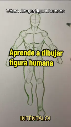 Aprende a fibujar figura humana intentalo ✨#apremdeadibujar #tutorialdedibujo #Viral #dibujoenpapel #dibujoalapiz #tipsdedibujo #dibujoparaprincipiantes #dibujopasoapaso 
