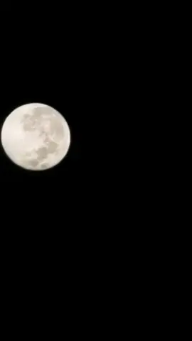 #lamitaddeunrecuerdo🥃 #losdiablitos #losdiablitosdelvallenato #vallenato #vallenatosyestados #sentimientovallenato #vallenatoconsentimiento #vallenatodelbueno #paratiiiiiiiiiiiiiiiiiiiiiiiiiiiiiii #vallenatosromanticos #fyp 