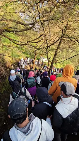 Sikunir lautan manusia lagi😭 #sikunir #dieng #macet #rekomendasiwisata 