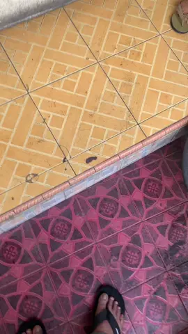 Proses roasting atau merendang kopi#raflesiacoffeeluwak #kopiluwak  Cp 081213409511