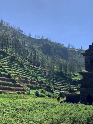pesona lereng dieng #dieng #pesonadieng #wonosobo #diengwonosobo 