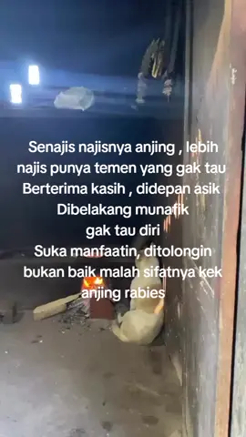 anjing aja tau cara berterima kasih lah lu manusia? #xyzbca #fypシ 