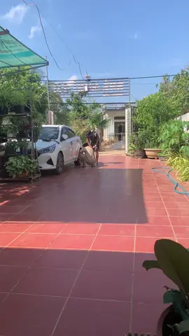 Thể dục buổi sáng 🥹🥹