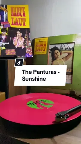 Sunshine✨ #ThePanturas #Sunshine #vinylthepanturas #vinyl #vinylrecords #spinningvinyl #
