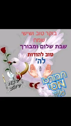 בוקר טוב שישי שמח שבת שלום בשורות טובות 