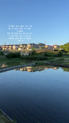 Có một câu nói mà mình vừa được nghe từ một người bạn:”Kênh tiktok không có nội dung sạch,tạo lắm drama thì sẽ bị đào thải”.Quá trình xây kênh kiếm tiền của mình cũng lắm khi muốn có nhiều view nhiều like.Nhưng sau cùng chỉ muốn bình yên nhẹ nhàng nhất có thể trong cuộc sống này.Kệ ngoài kia nhiều drama tranh cãi,hay thậm chí chà đạp,bôi nhọ danh dự lẫn nhau.Mình vẫn sẽ ở đây và làm những video về đời sống.Chia sẻ về những điều hay ho đã trải qua ,những kỉ niệm đẹp tại Nhật mà có thể sau này sẽ chẳng thể có lại một lần nào nữa.Biết đâu là có thể giao lưu kết bạn với thêm nhiều người tốt.Học hỏi được thêm nhiều cái hay ho.Sau cùng thì vẫn luôn biết ơn những người đã giúp đỡ và theo dõi ủng hộ mình nhaaaaa#cuocsongnhatban #hieuhonggio #nhậtbản #xkldnhatban #tokuteiginou #dailyvlog 