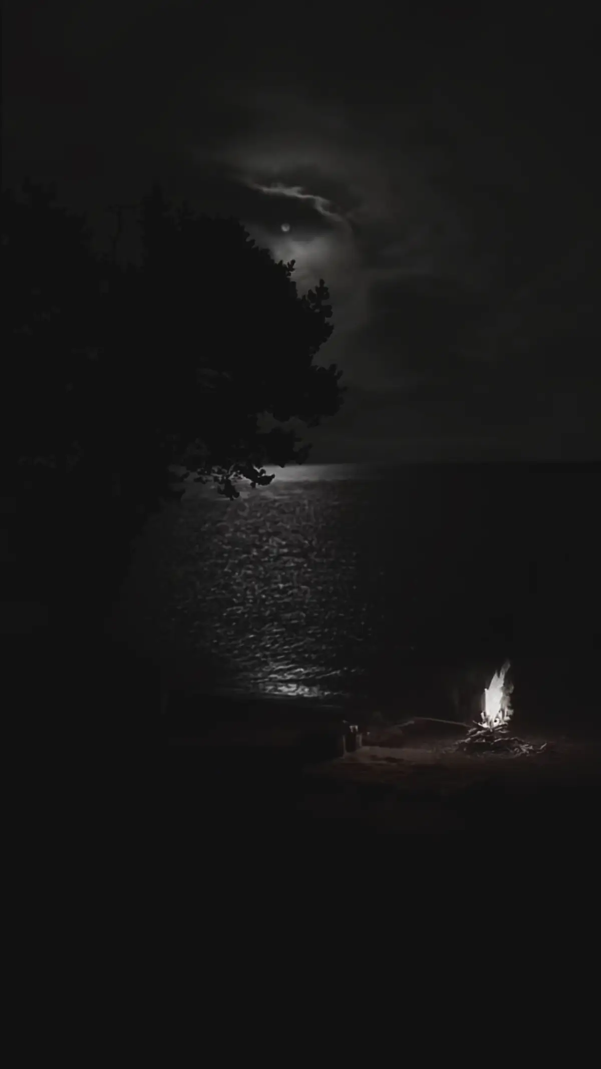 ما بعرف لمين🎼..