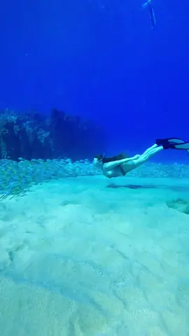 🐠 #fish #underwater #ocean #freediver #freediving 