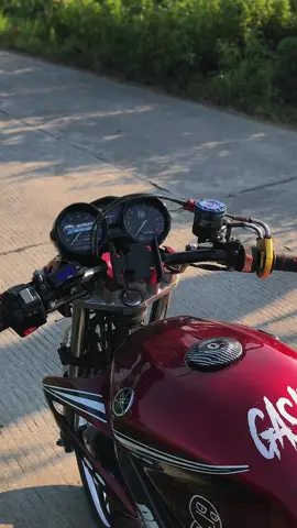 Jual aja bg penawaran tertinggi angkut☺️ #pigsencleon #cleongank🤘 #vixion_modifikasi #vixionold #fypシ 