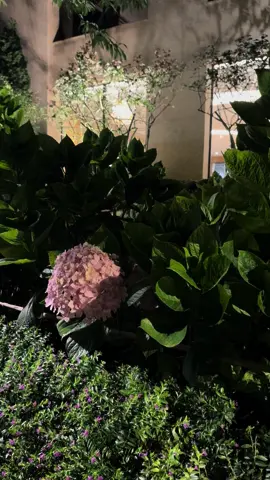 I am very happy now… 🩶