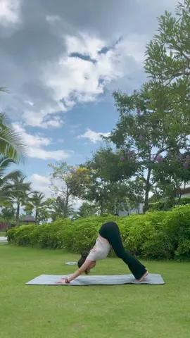 Yoga cân bằng #hayogaonline #hayogaonlinept1_1 #hayogachophunu30 #hadaotaohlvyoga #xuhuong #yoga #vidieucuahoitho #hoithoyoga #hlvyoga #daotaohlvyoga #daotaohlvyogaphuchoi 