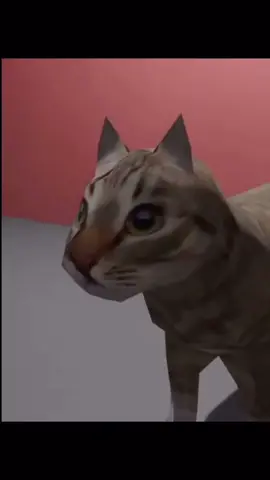 real #usb #cat #fy #foryou #foryoupage #brain #rot #brainrot #funny #meme #catsoftiktok #car #rizz #sigma #viral #idk 