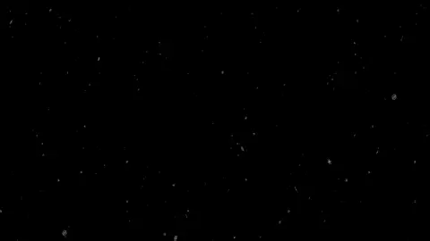 منشنوهم 😂❤️.؟#تصميمي #شاشه_سوداء #اغاني_مسرعه💥 #شعب_الصيني_ماله_حل😂😂 #مشاهير_تيك_توك_مشاهير_العرب #كوميدي #حركة_الاكسبلور #متابعه #كرة_قدم #مشاهير_تيك_توك #اكسبلورexplore #المصمم_رضو🙂💞 #duet #CapCut #viralvideo #trending #capcut #fyp #Love #parati 